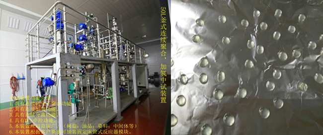 祝賀國內(nèi)首套釜式連續(xù)加氫中試成套裝置一次出料成功！.jpg